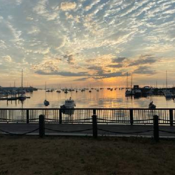 Meet your Posher, Jacob - Picture 3 of 3